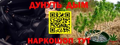 крисы Пыть-Ях