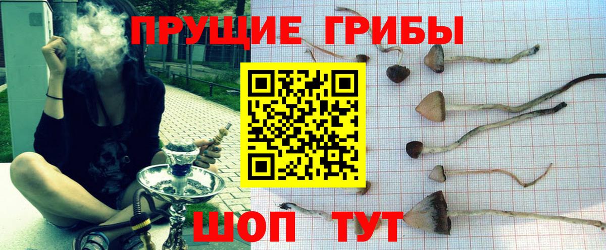 Пенза  Псилоцибиновые грибы прущие грибы  Вход с VPN 