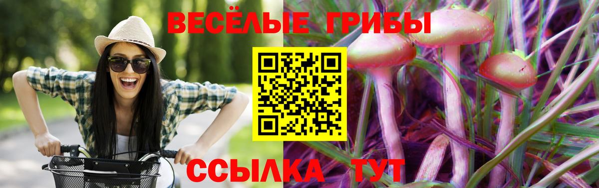 Псилоцибиновые грибы GOLDEN TEACHER Пенза